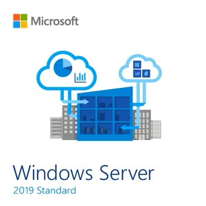 Microsoft Windows Server Standard 2019 24 Core OEM DVD 